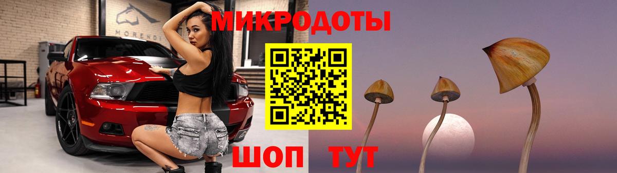 Галлюциногенные грибы Psilocybe  Вход с VPN  Ессентуки 